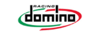 domino racing