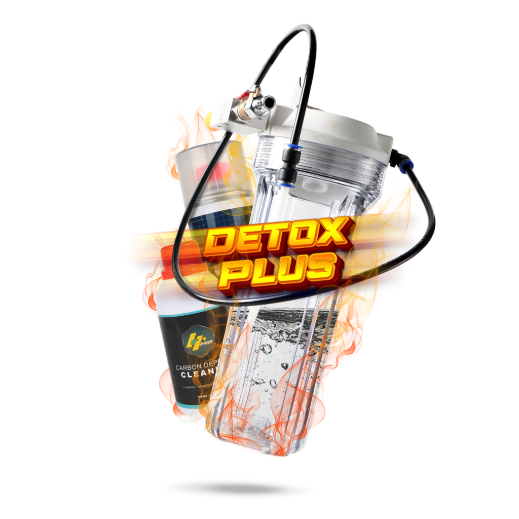 detox service